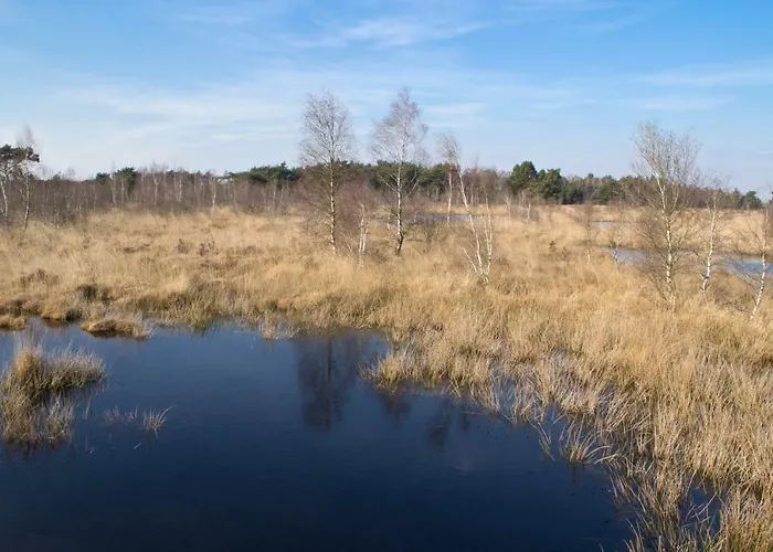 Maryland Bed & Breakfast Heusden (Asten)