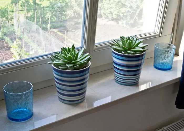 Maryland * Heusden (Asten)